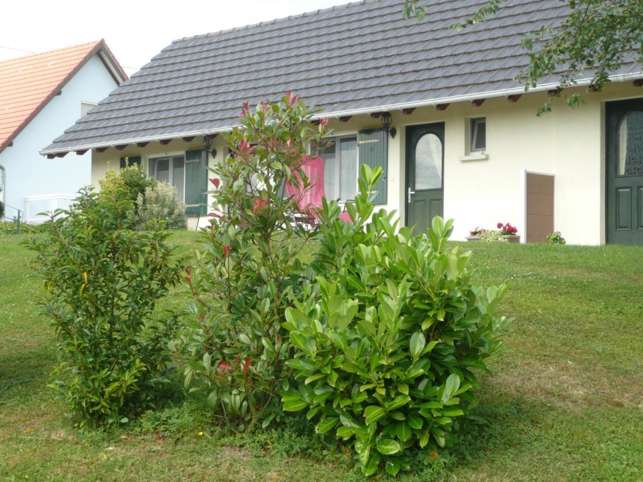 Chez Anny Et Jean Au Mittelbuehl-Reichshoffen Bed and Breakfast Buitenkant foto